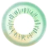 i.Fairy Gradation Mint Lens